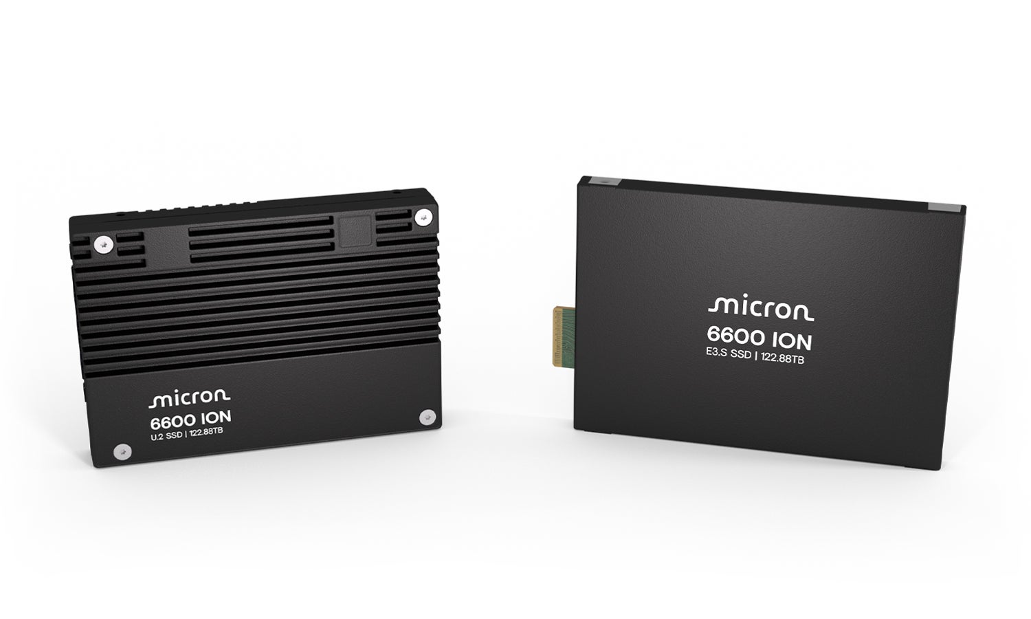 Micron 6600 ION NVMe™ SSD product family