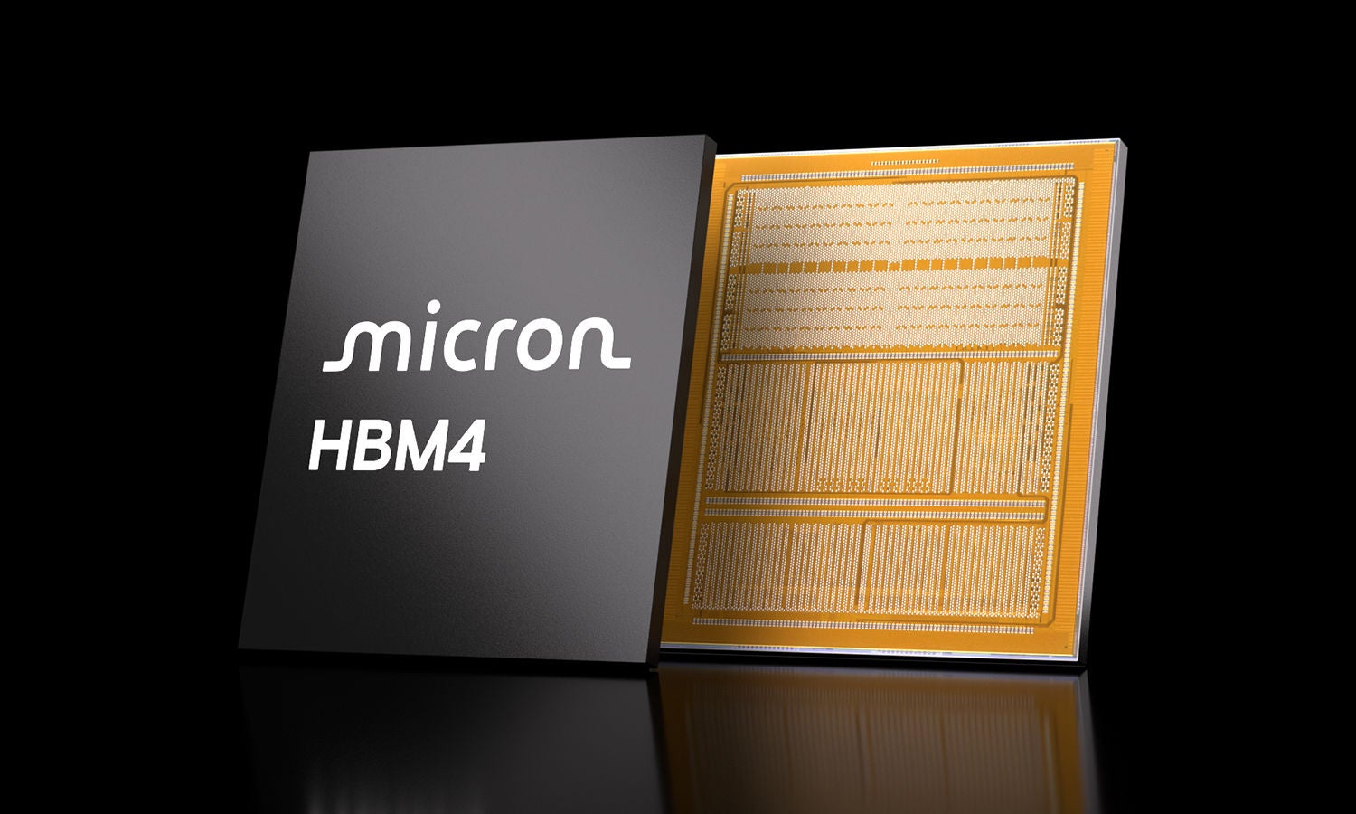 image of HBM4 module